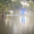 Understanding Flood Zones in Edgewater, Florida