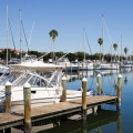 Exploring the Hidden Gems of Edgewater, Florida