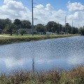 The Impact of Hurricane Milton on Edgewater, Florida