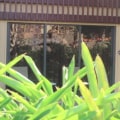 The Day The Beatles Broke Up at Disney's Polynesian Village Resort