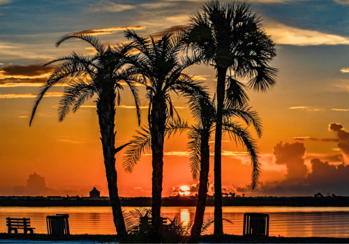 Exploring the Hidden Gems of Edgewater, Florida